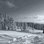 Hannes im Schnee ( juchee ! )