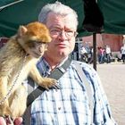 User Profile Photo