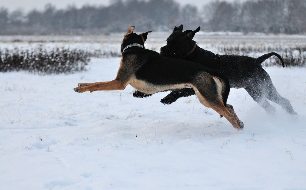 Hannes u. Carlos beim Spiel 01