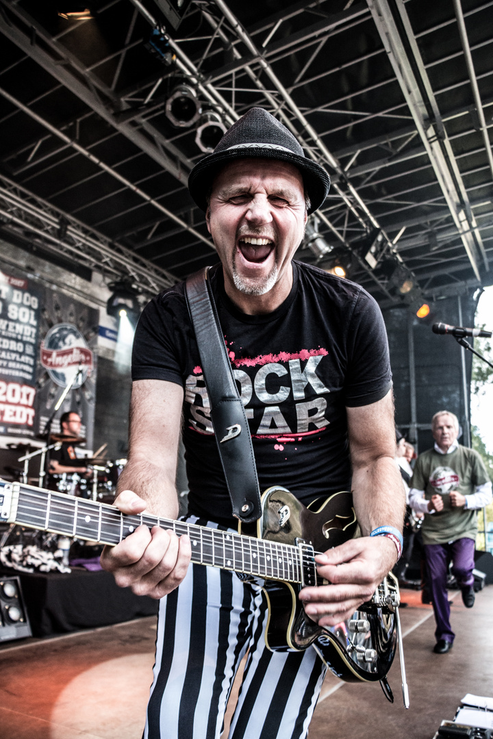 Hannes Wendt Band auf dem Taarstedt Open Air