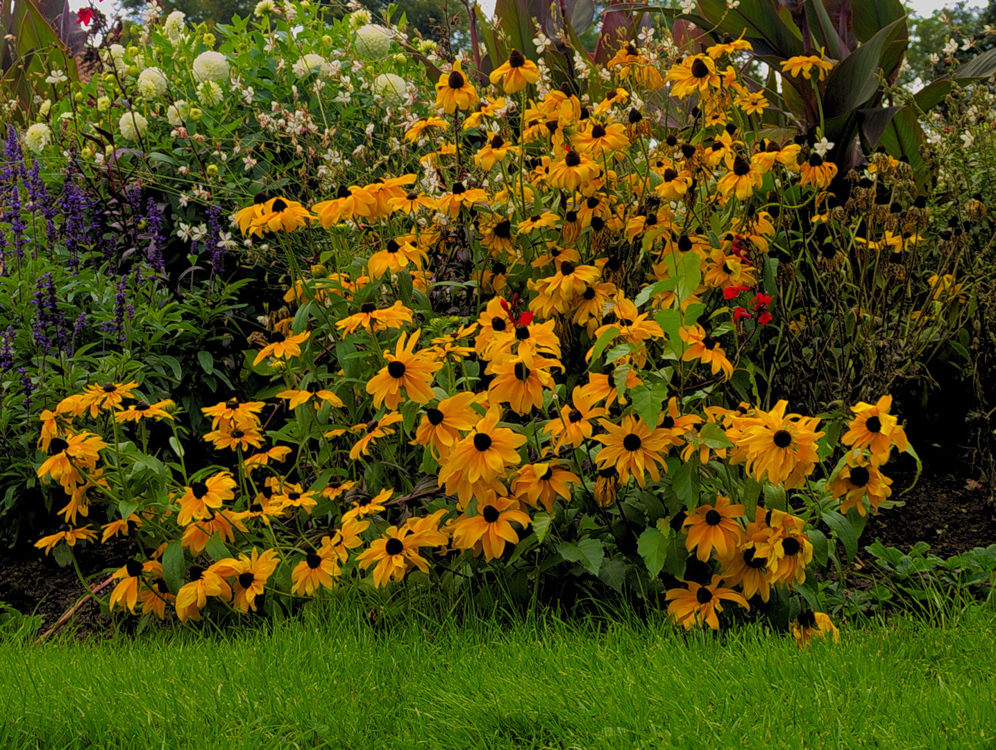 Hannover Georgien Garten