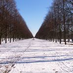 Hannover - Herrenhäuser Allee