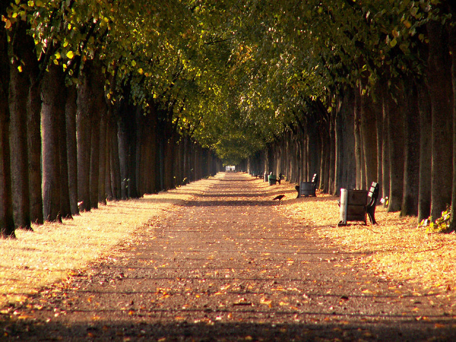 Hannover - Herrenhäuser Allee