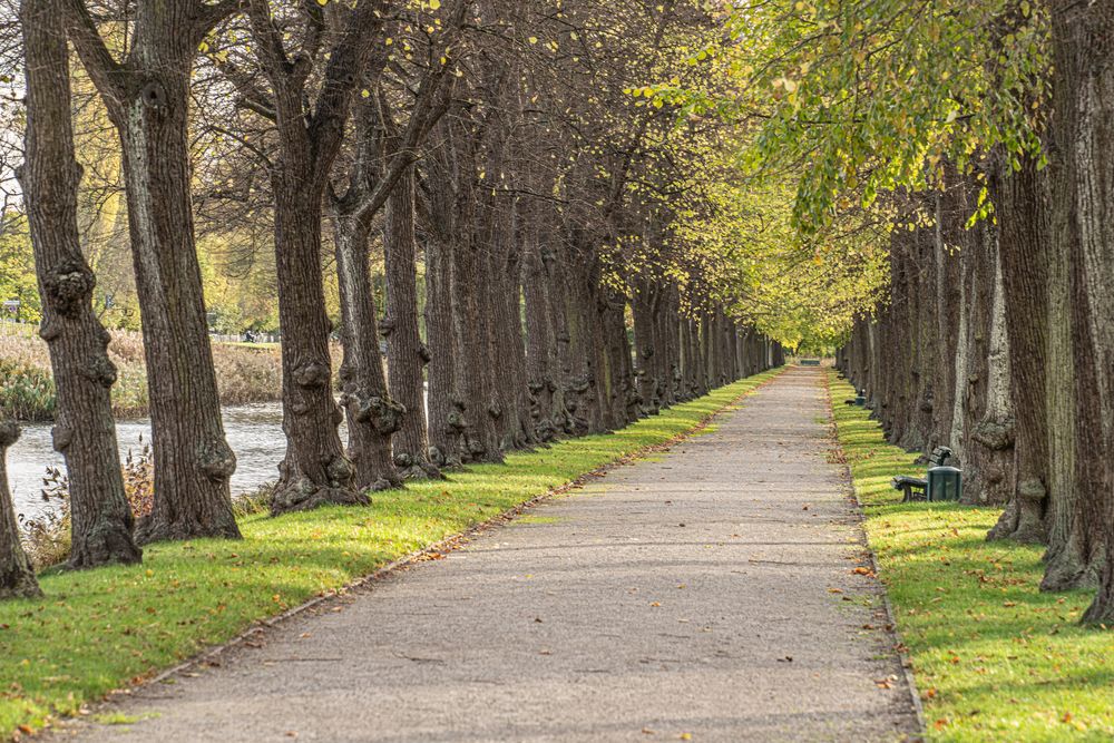 Hannover-Herrenhausen X