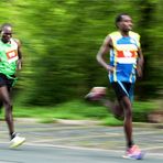 Hannover Marathon 2014 - Goethes Zauberlehrling?