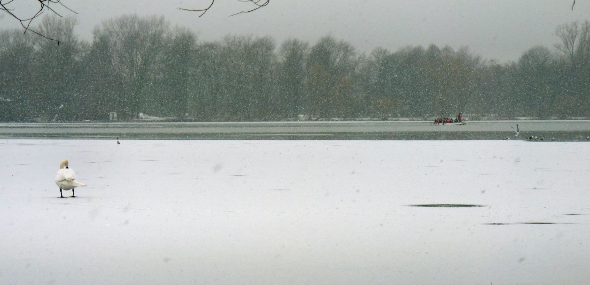 Hannover Maschsee am 13.01.2013