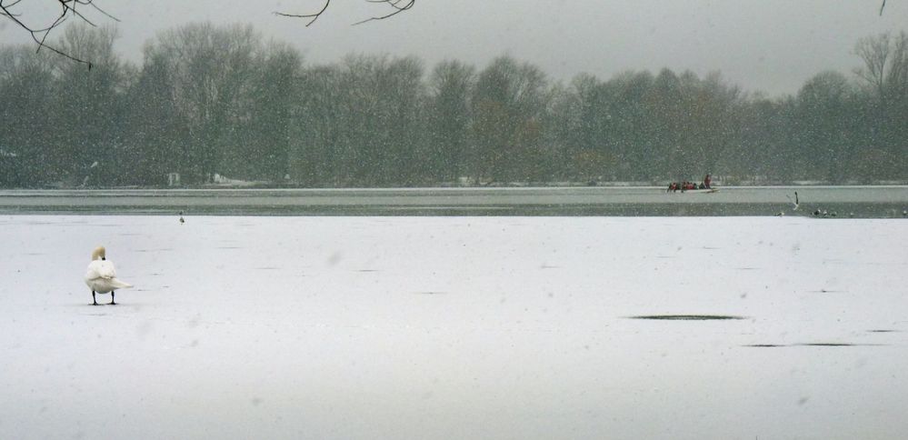 Hannover Maschsee am 13.01.2013