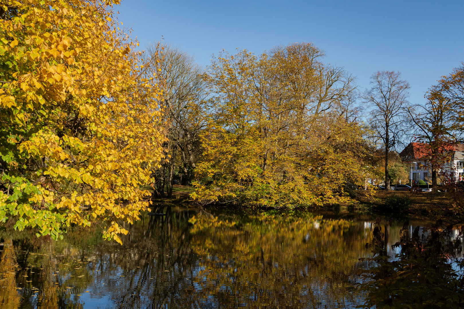 Hannover - Maschteich im Herbst