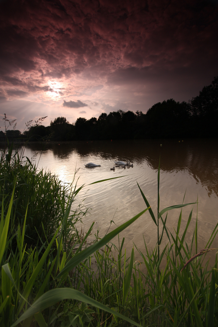 Hannover River