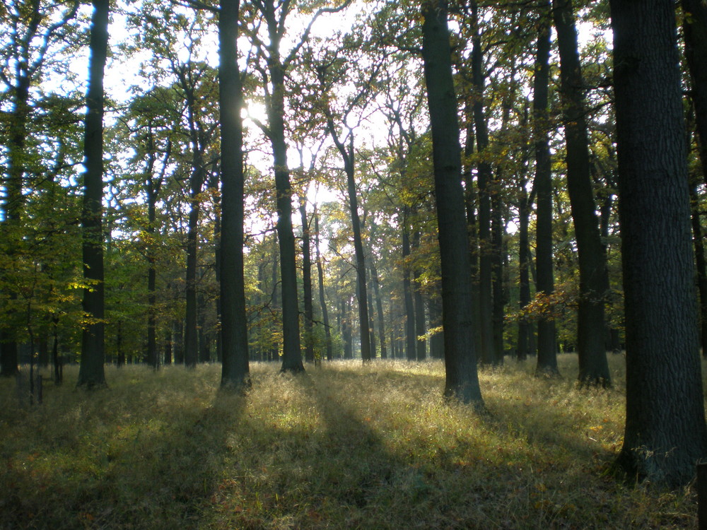 Hannover, Tiergarten Kirchrode