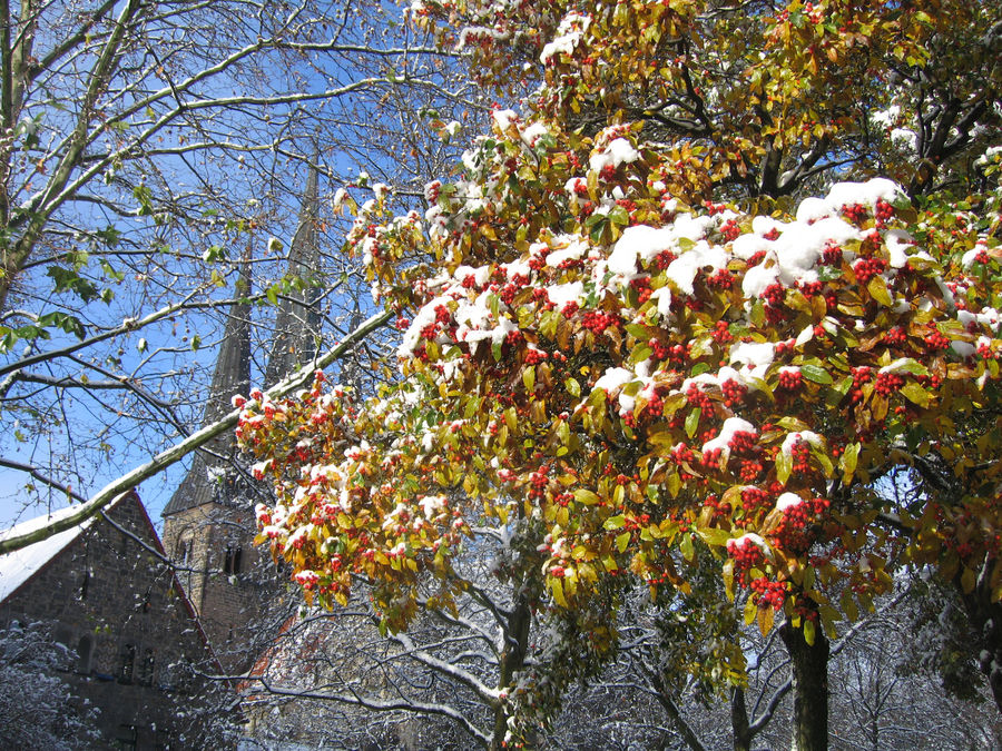 hannover/linden -bethlehemkirche