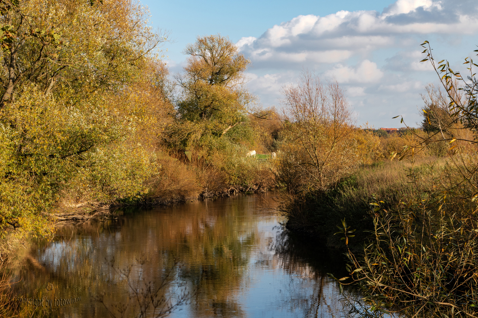 Hannover/Marienwerder - Herbst an der Leine