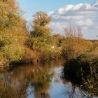 Hannover/Marienwerder - Herbst an der Leine