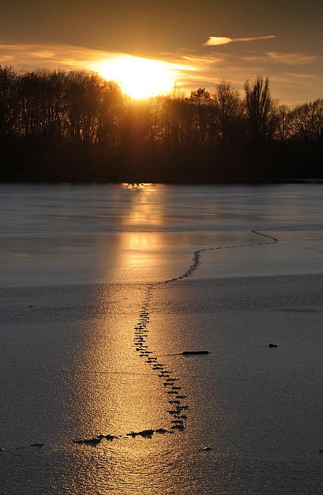 Hannovers Maschsee by Jens Schade 