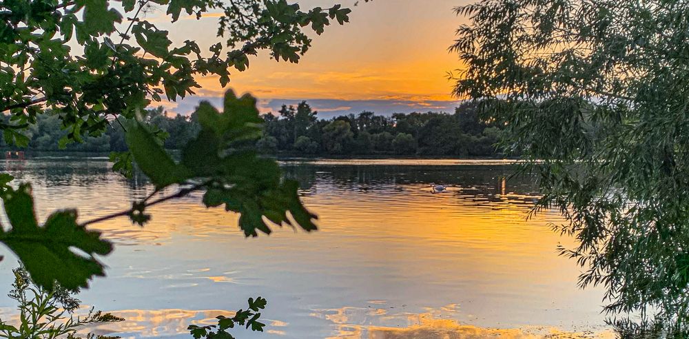 Hannovers Maschsee vorgestern Abend