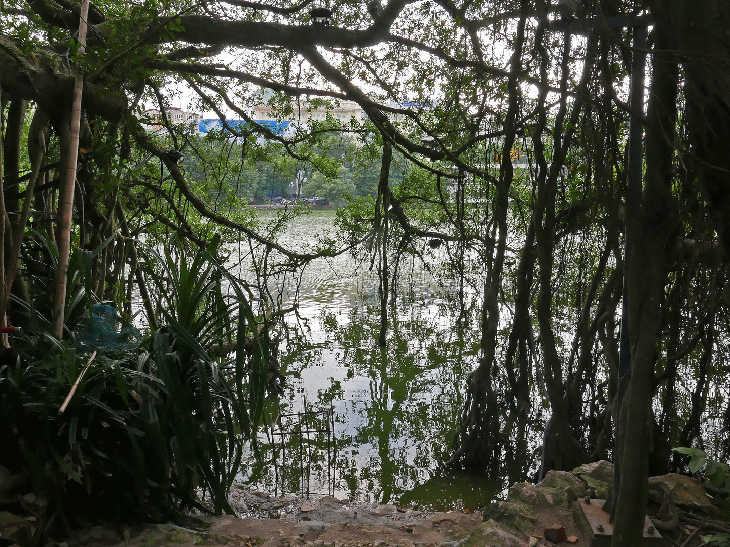 Hanoi: Blick auf dem Hoan Kiem-See