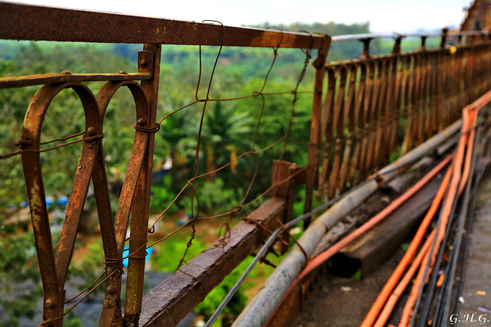 Hanoi Railway Bridge 2017 (8)