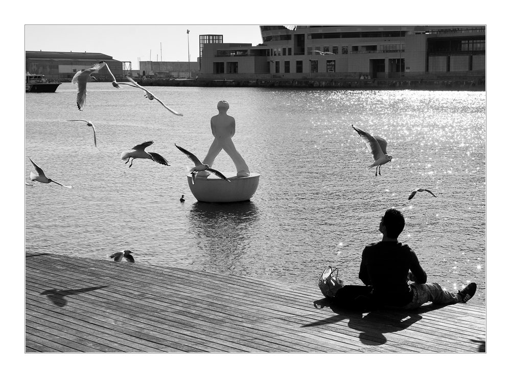 Hans guck in die Luft, black and white, echt und unecht, mit Möwen und Glitzersternchen