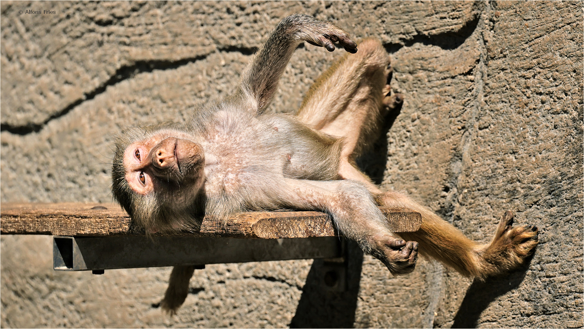 Hans Guckindieluft am chillen