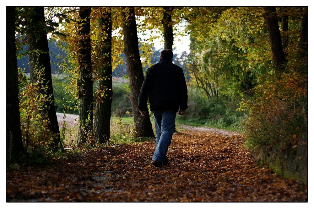 Hans im Wald