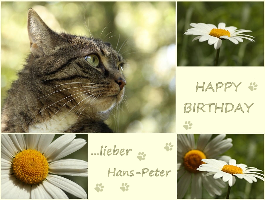 Hans-Peter hat Geburtstag...