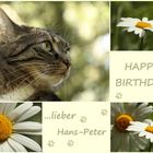 Hans-Peter hat Geburtstag...