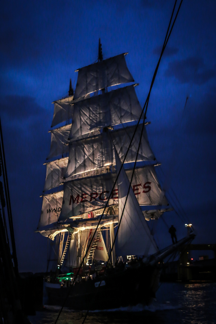 Hanse Sail 1