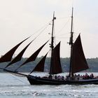 Hanse-Sail 2006