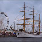 Hanse Sail 2011 in Rostock