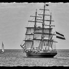 Hanse Sail 2014 (2)