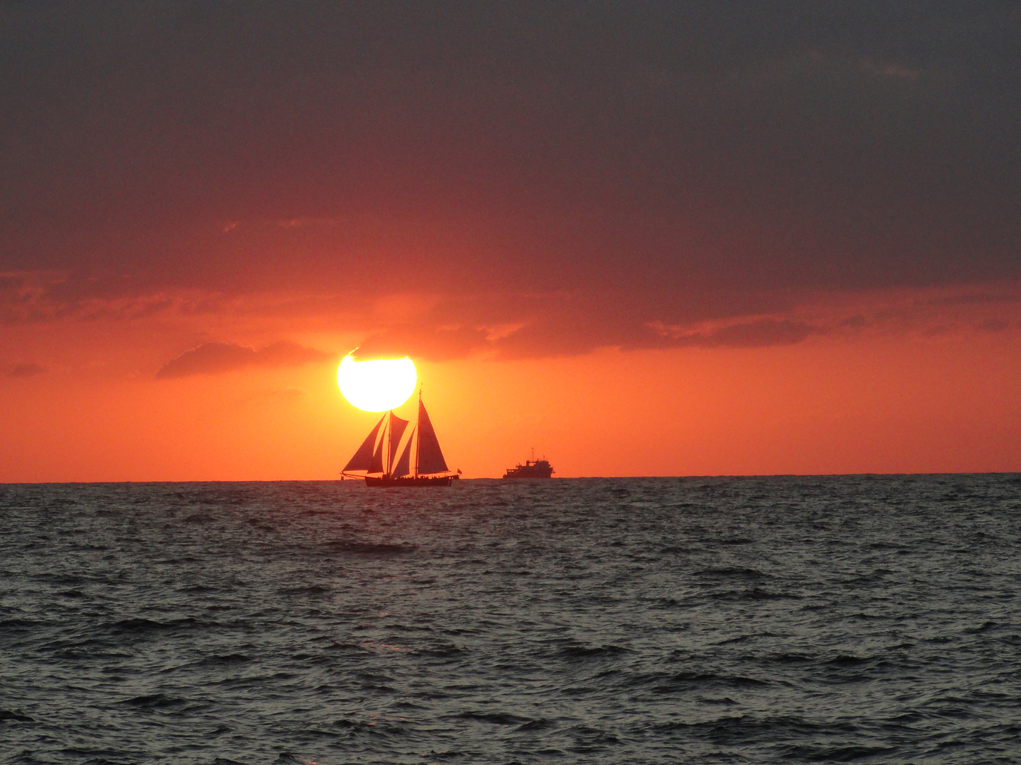 Hanse Sail 2014 Warnmünde