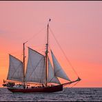 Hanse Sail 2015 (3)