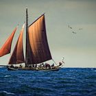 Hanse Sail 2016/ 2. Bild