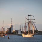 Hanse Sail 2019 (1)