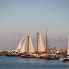Hanse Sail 2019 (10)