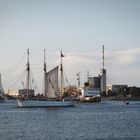 Hanse Sail 2019 (4)