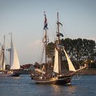 Hanse Sail 2019 (5)