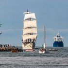 Hanse-Sail 2019 -die Artemis