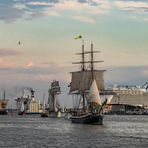 Hanse Sail 2019-Hafenausfahrt Warnemünde