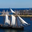 HANSE SAIL 2022. DIE ALBERT JOHANNES KEHRT ZURÜCK.