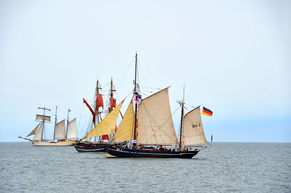 Hanse Sail 2023 auf der Ostsee vor Warnemünde