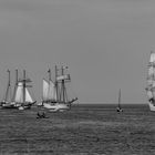 Hanse-Sail 2023 in Rostock -Warnemünde