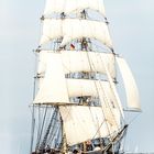 Hanse Sail