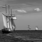 Hanse-Sail -Ausfahrt vor Warnemünde auf offener See