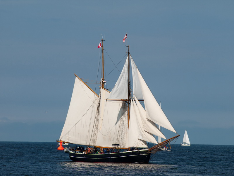 Hanse Sail die 21.