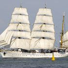 Hanse Sail *Die Gorch Fock*