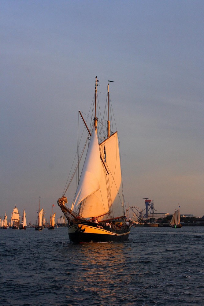 Hanse Sail in Rostock