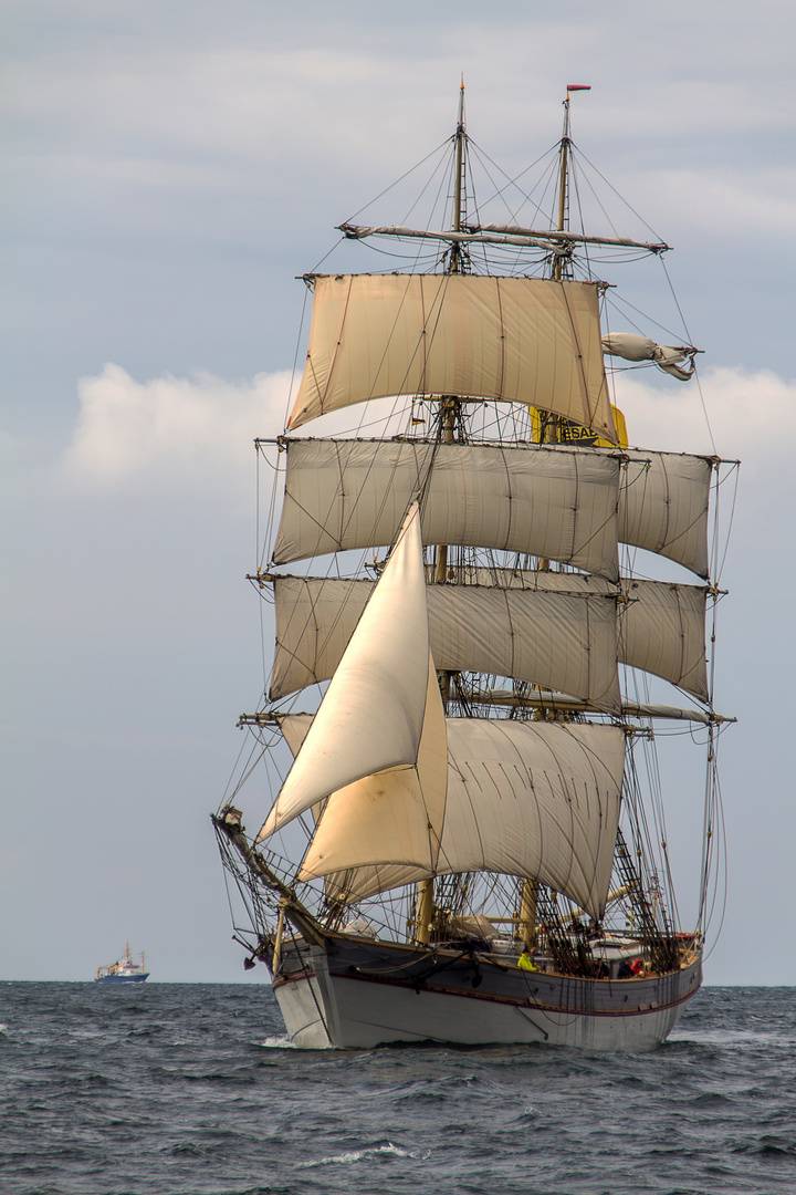 Hanse-Sail Rostock/Warnemünde 2017 (1)