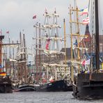 Hanse-Sail Rostock/Warnemünde 2017 (2)