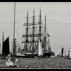 Hanse-Sail,große Ausfahrt